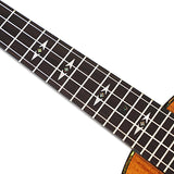 オースティン ウクレレ コンサートサイズ ハワイアンコア スロテッドヘッド AC100 ソフトケース付き(国内保証書・チューナー・教則本・コードチャート・ギグバッグなど8点セット)#86564