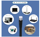 LANケーブル 15m カテゴリ6 ストレート フラットタイプ イーサネットケーブル RJ45コネクタ ギガビット ツメ折れ防止 やわらか ブラック モデム ルーター等に対応#91724