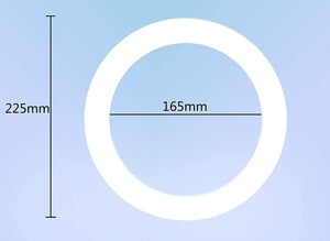 LEDランプ 丸型 30形 12w ライト 照明器具 昼光色 シーリングライト ペンダントライト 天井照明 グロー式工事不要/円形/環形/サークライン 説明書付き#46501