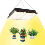 LED植物育成ライト 植物成長ランプ 全なスペクトル植物ライト 家庭菜園 野菜工場 日照不足解消 低消耗 屋内水耕栽培温室野菜植物と花種まきから収穫まで 2年保証 (300W*2)#51872