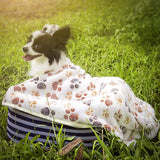 3枚セット ベッド敷物 柔らかい 超吸水ペット用タオル フリース素材 犬猫ペット用 マット タオル あったかい モコモコ 寝具 ベッドフリース かわいい 小型犬 寝心地落ち着く 通気性 (S,60*40cm）#85893